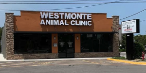 Westmonte Animal Clinic